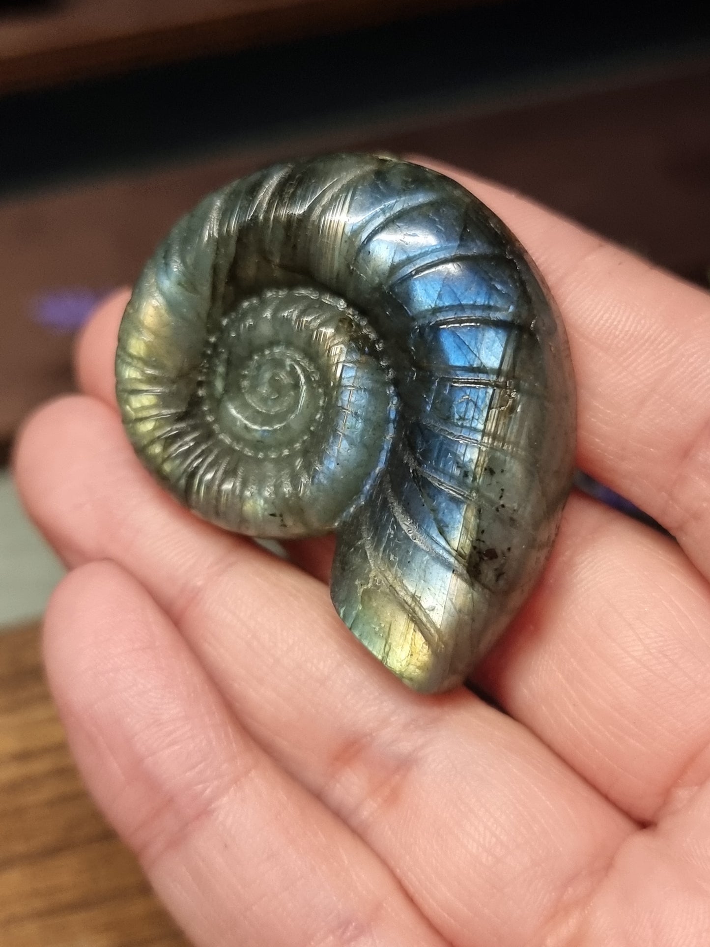 Labradorite ammonite carving