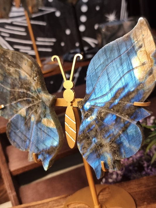 Blue labradorite butterfly