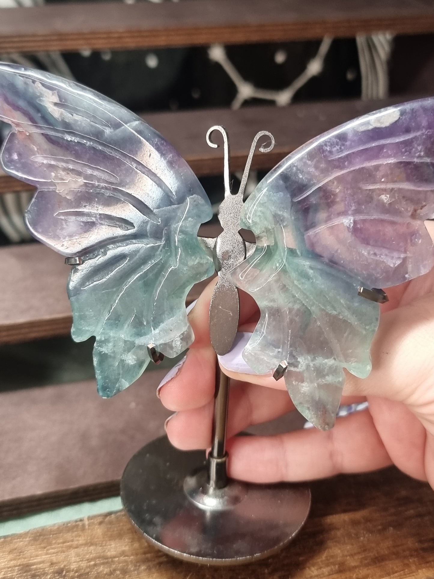 Fluorite butterfly wings
