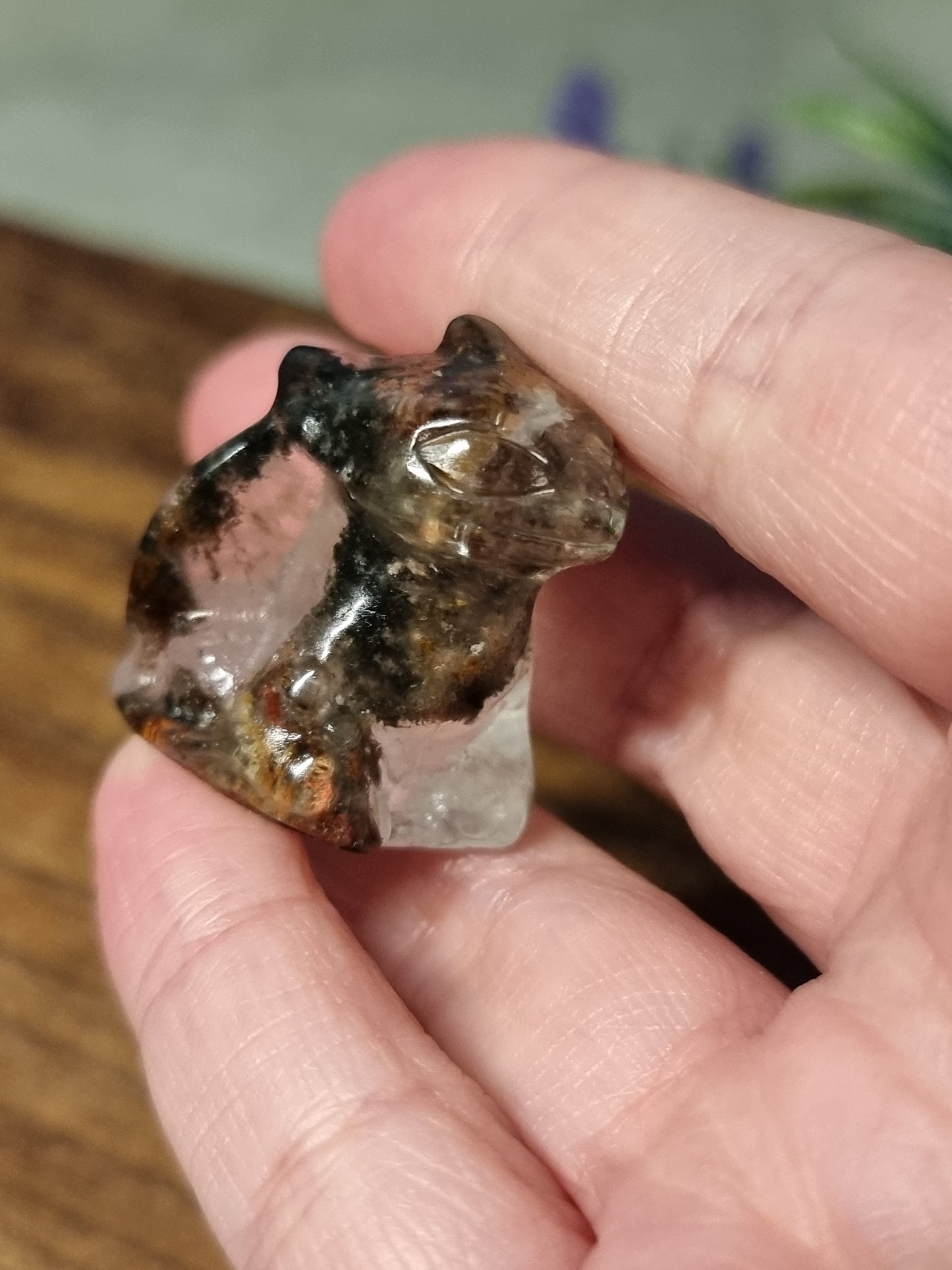 Garden quartz toothless