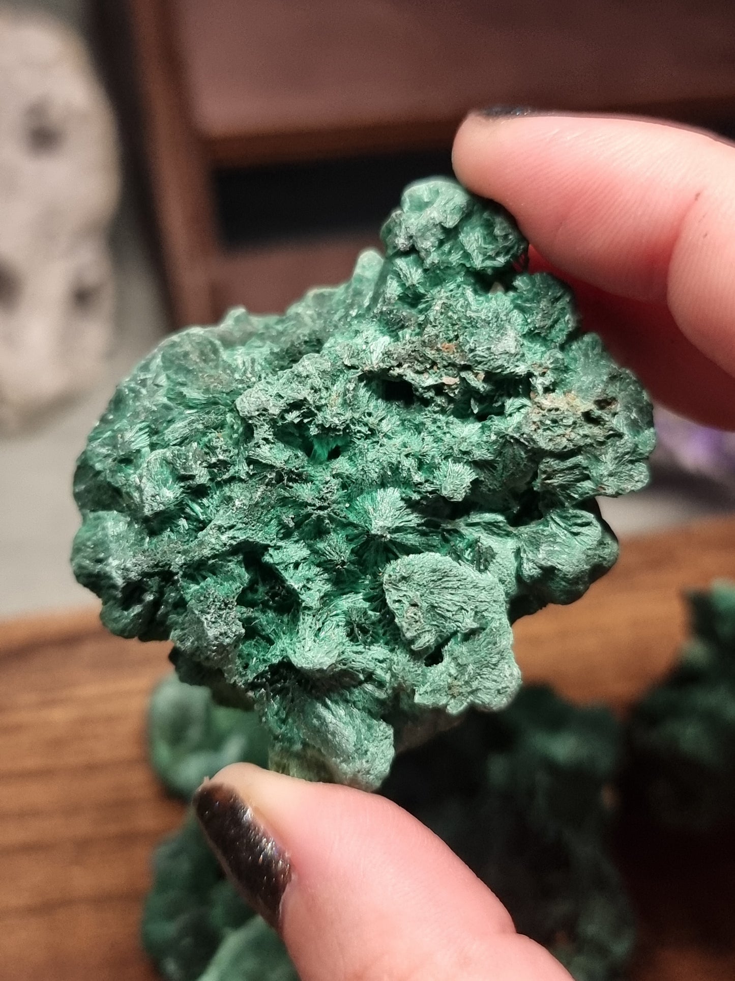 Velvet malachite