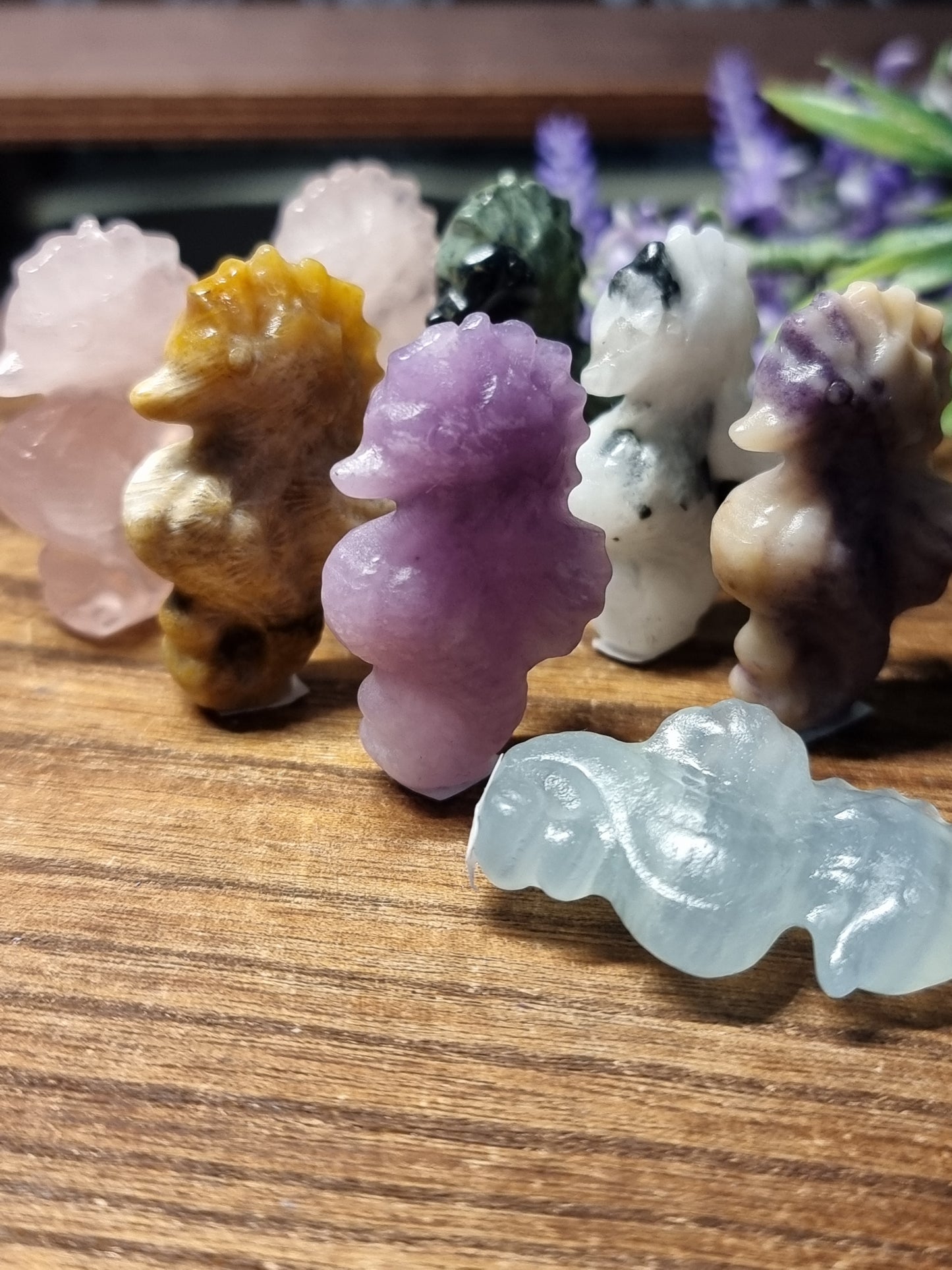Seahorse carvings