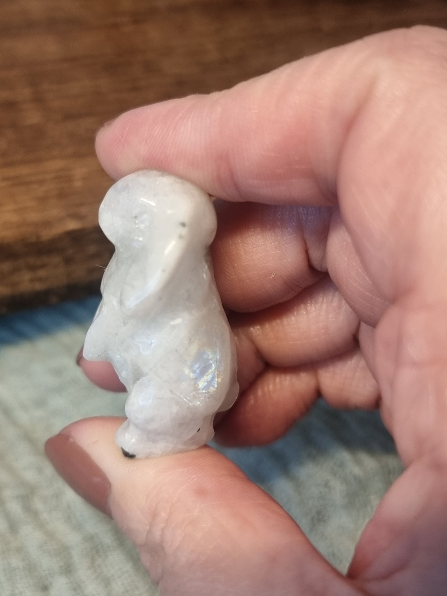 Bunny carvings