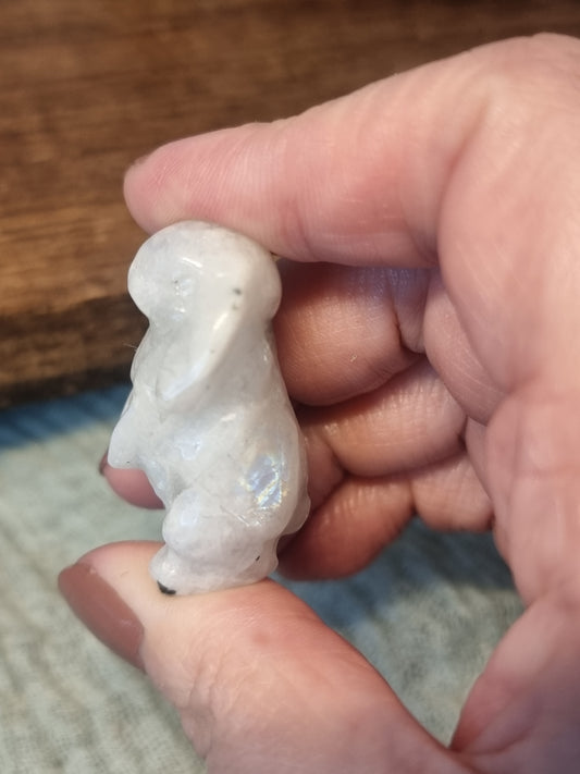 Bunny carvings