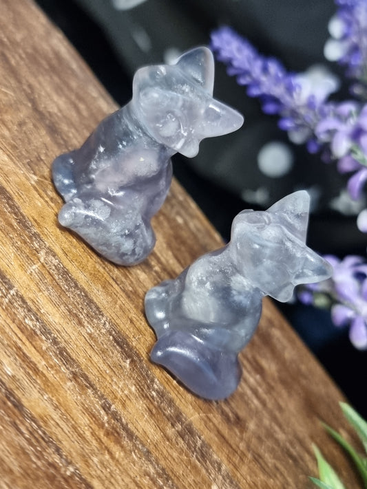 Fluorite foxes