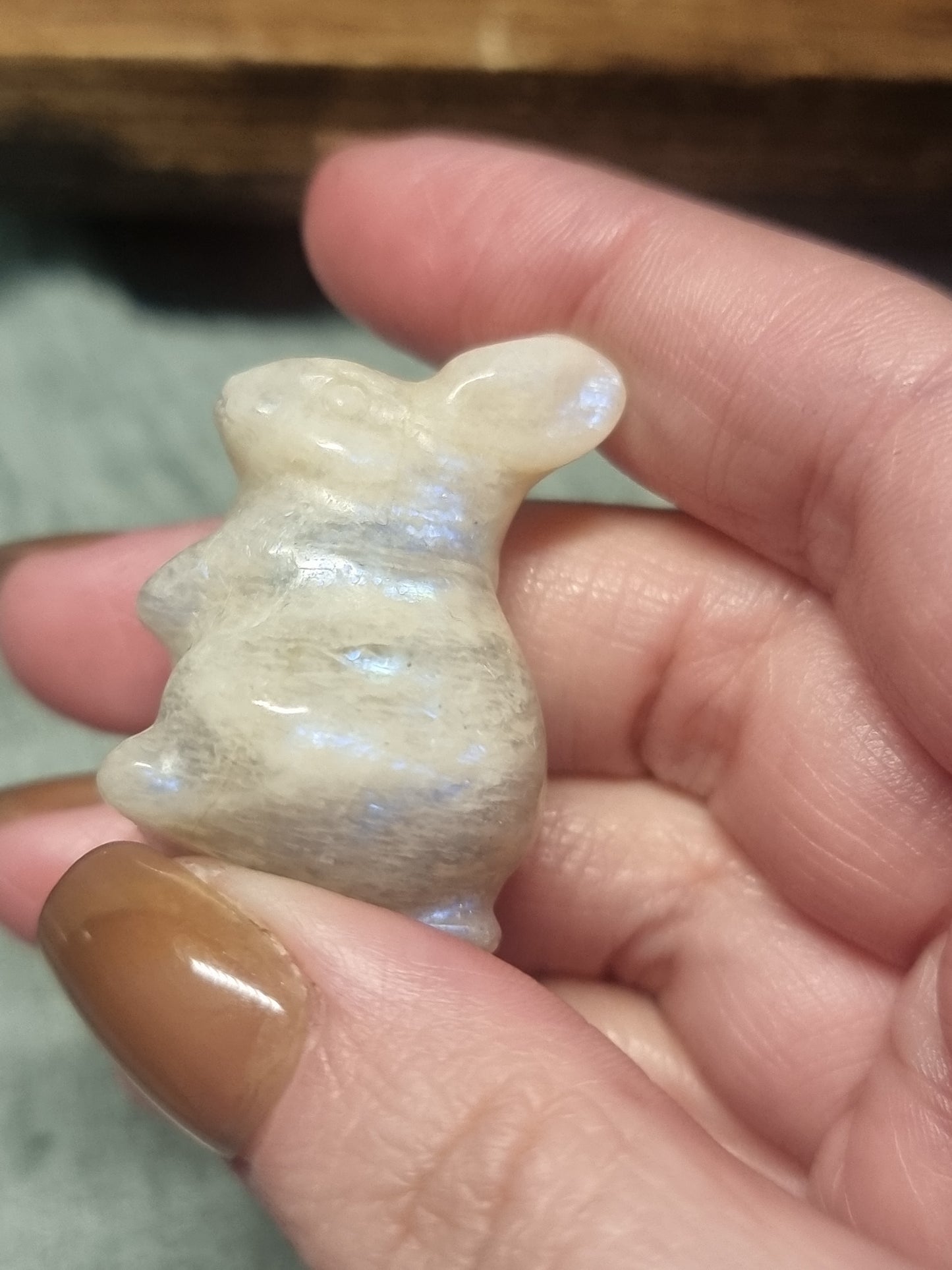 Rabbit carvings