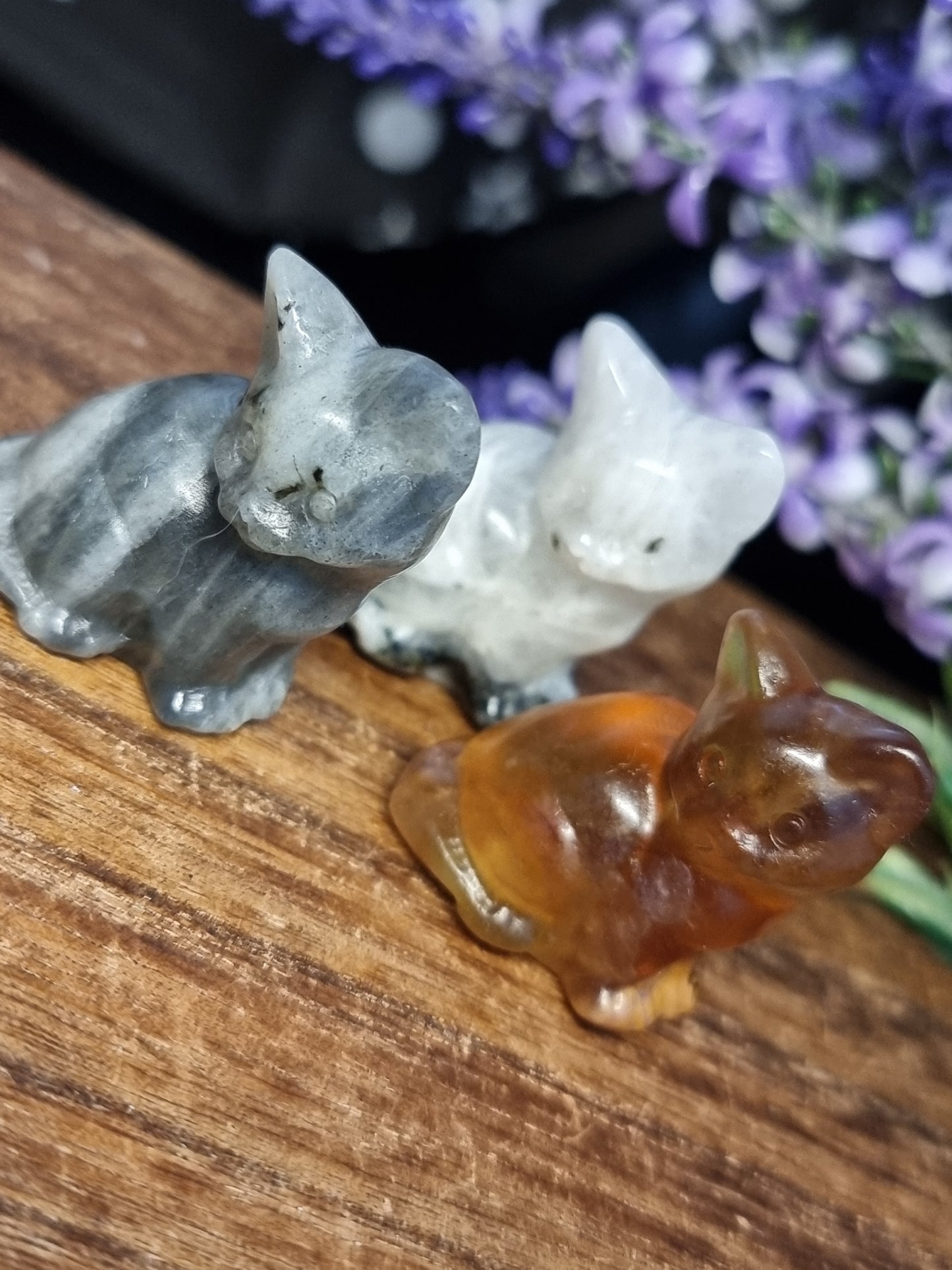 Sitting cat carvings