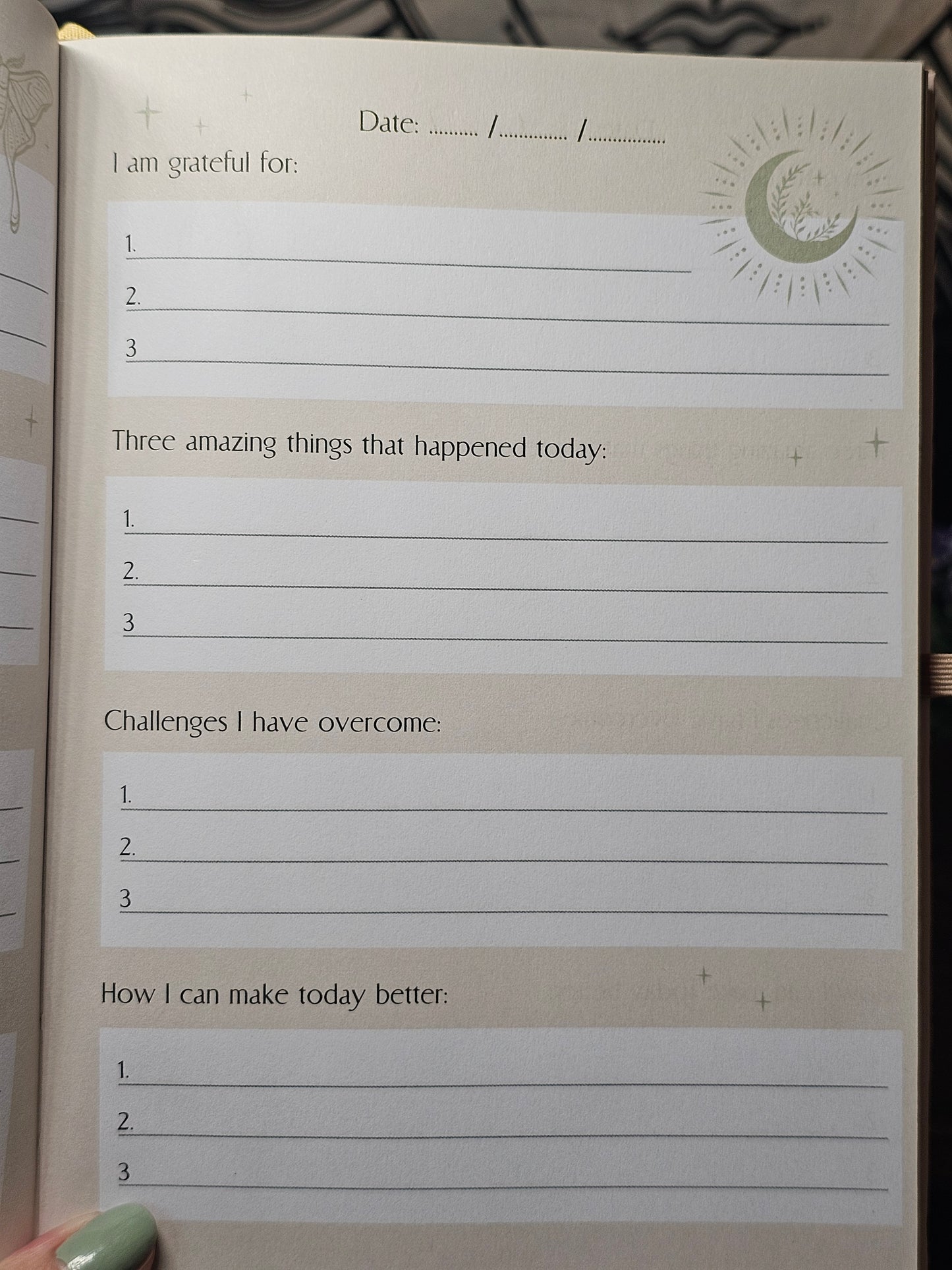 Lunar moth daily reflection journal
