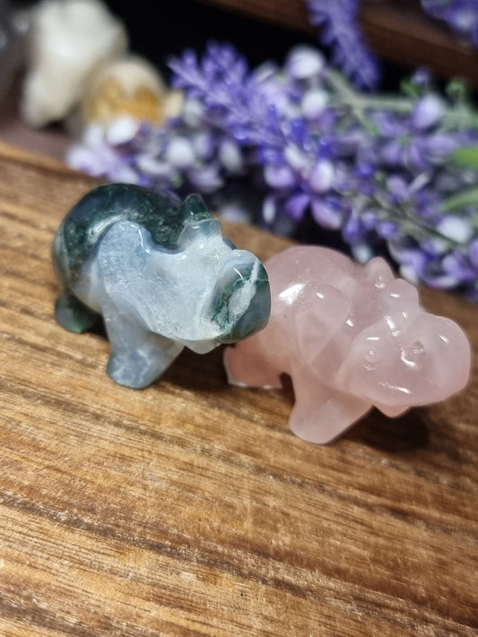 Elephant carvings