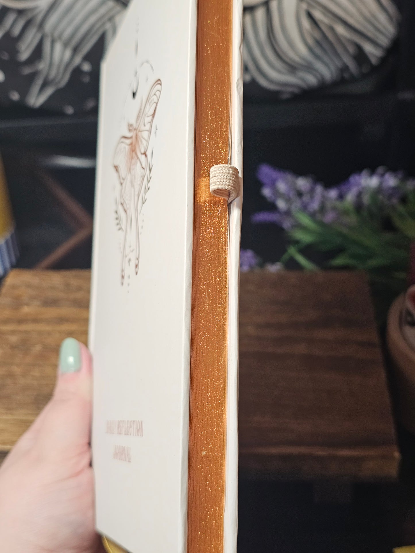 Lunar moth daily reflection journal