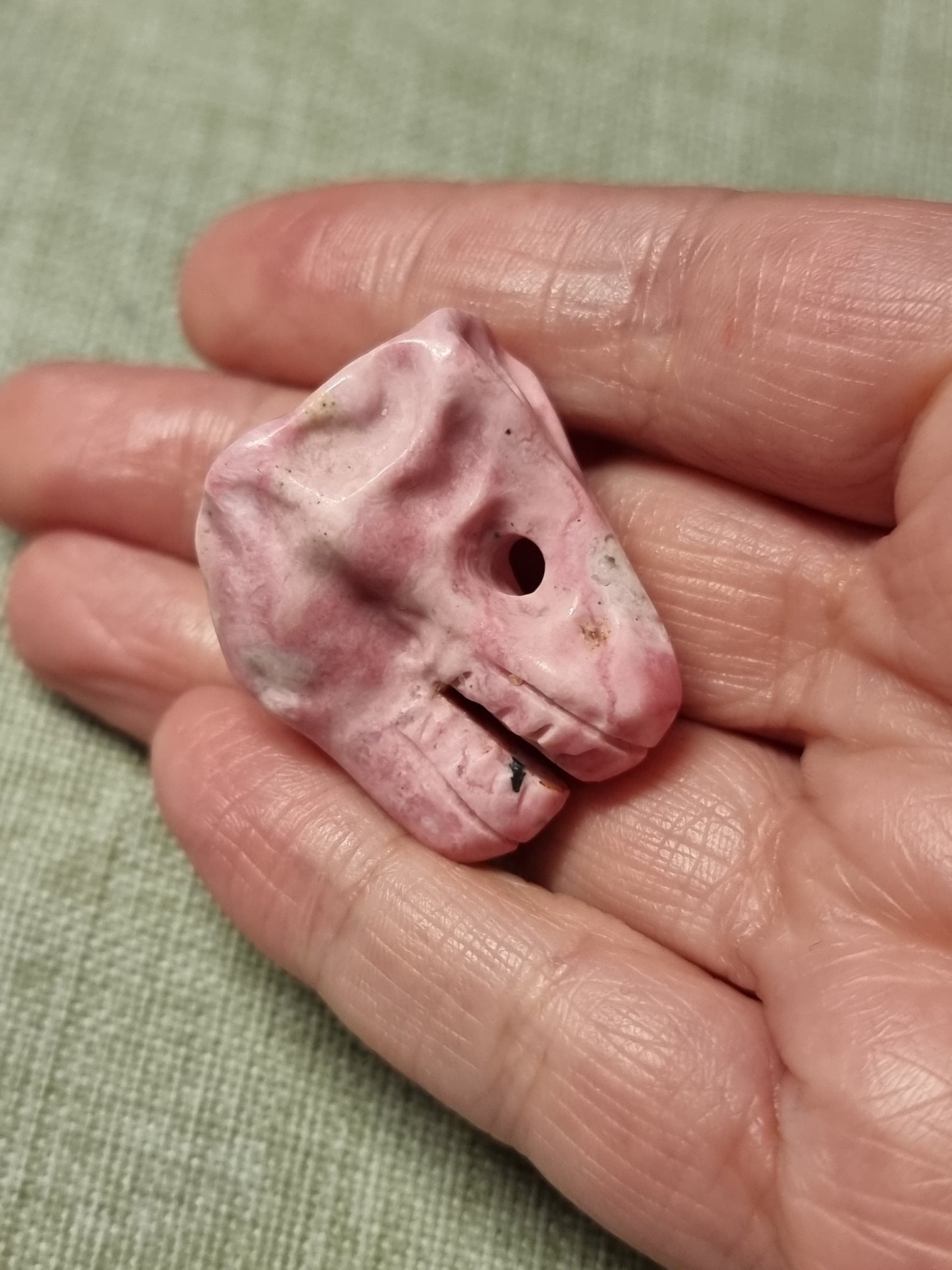 T-rex skull carvings