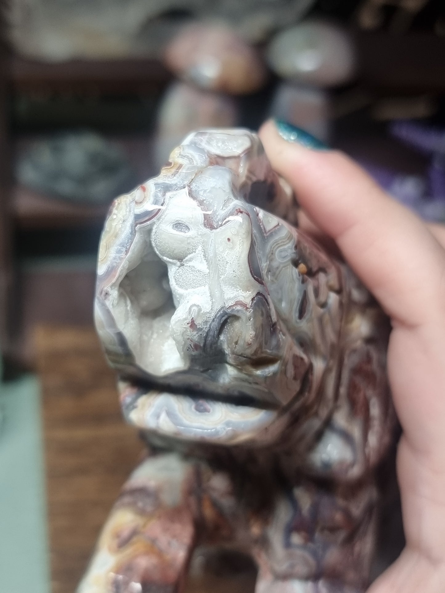 Mexican lace agate elephant