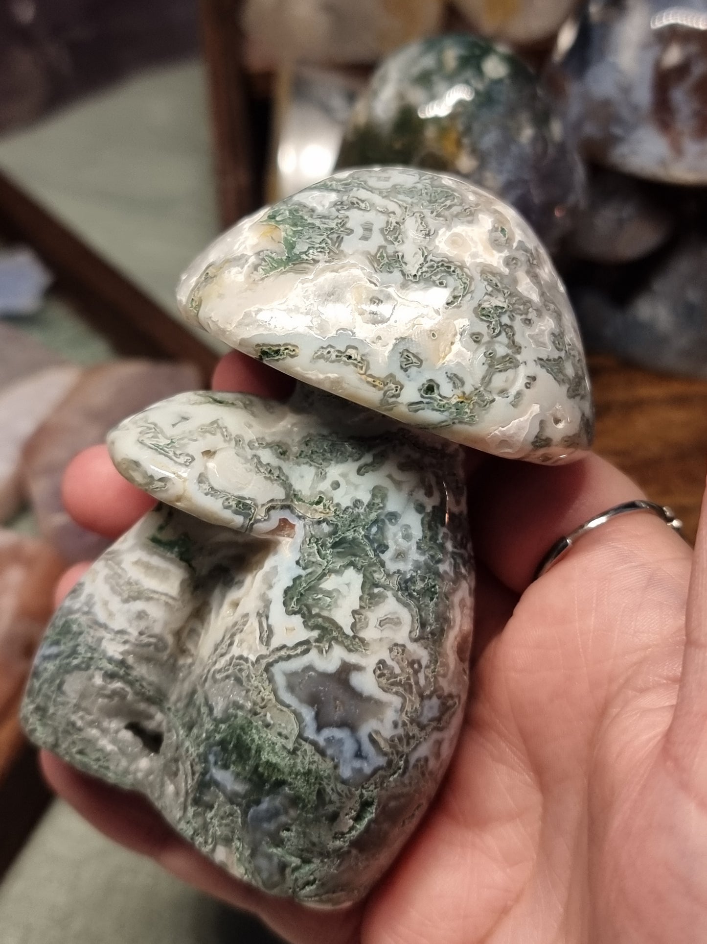 Moss agate mushrooms