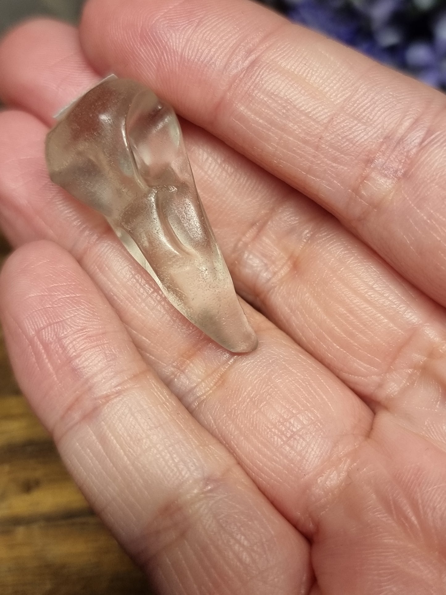 Bird skull carvings