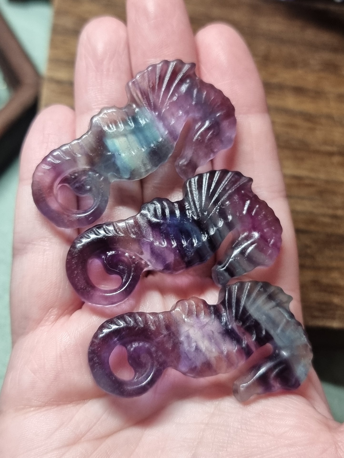 Fluorite seahorses