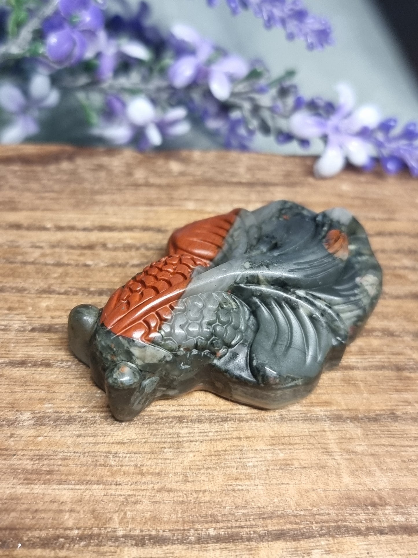African bloodstone fish