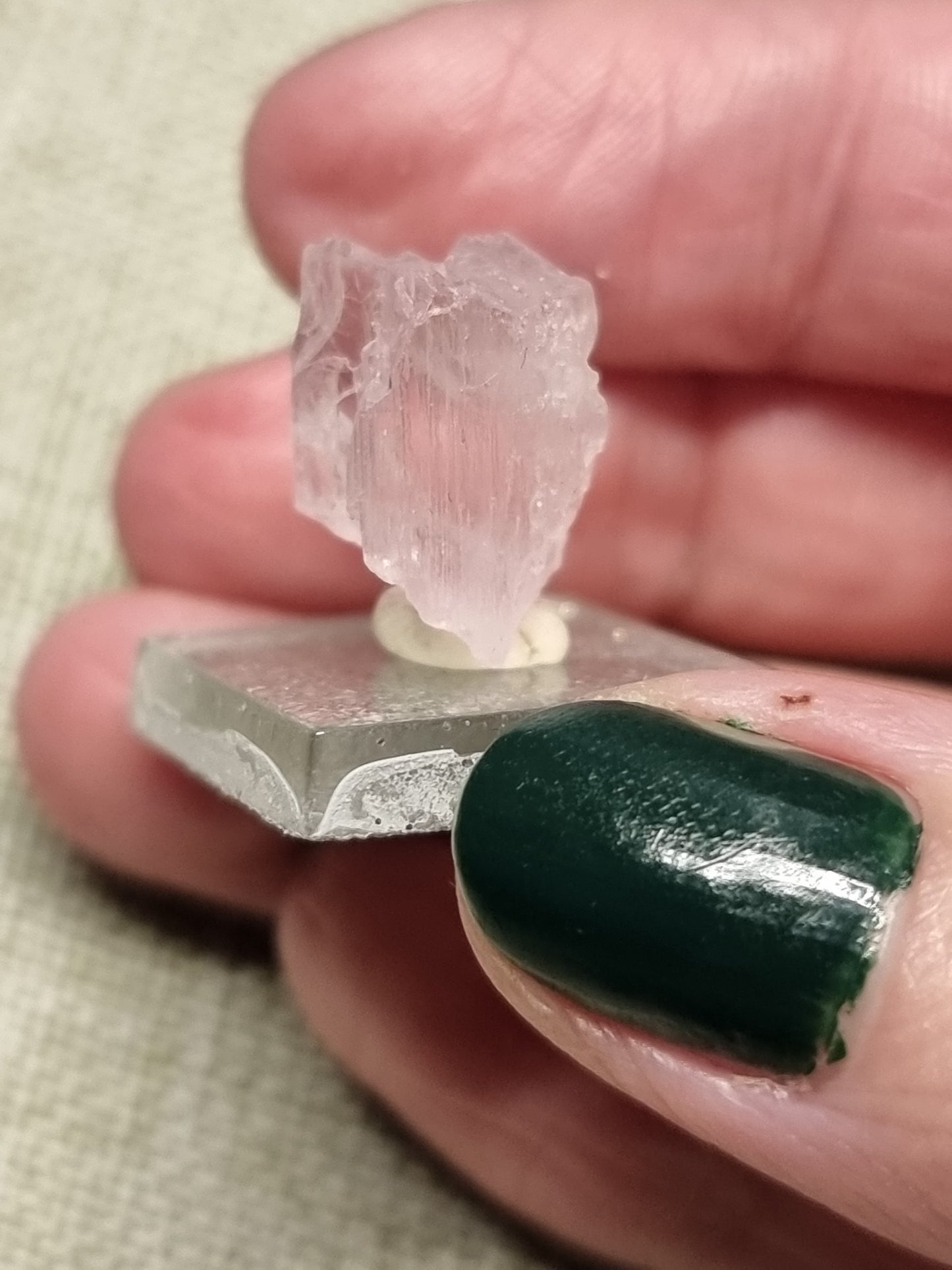 Gem kunzite specimens