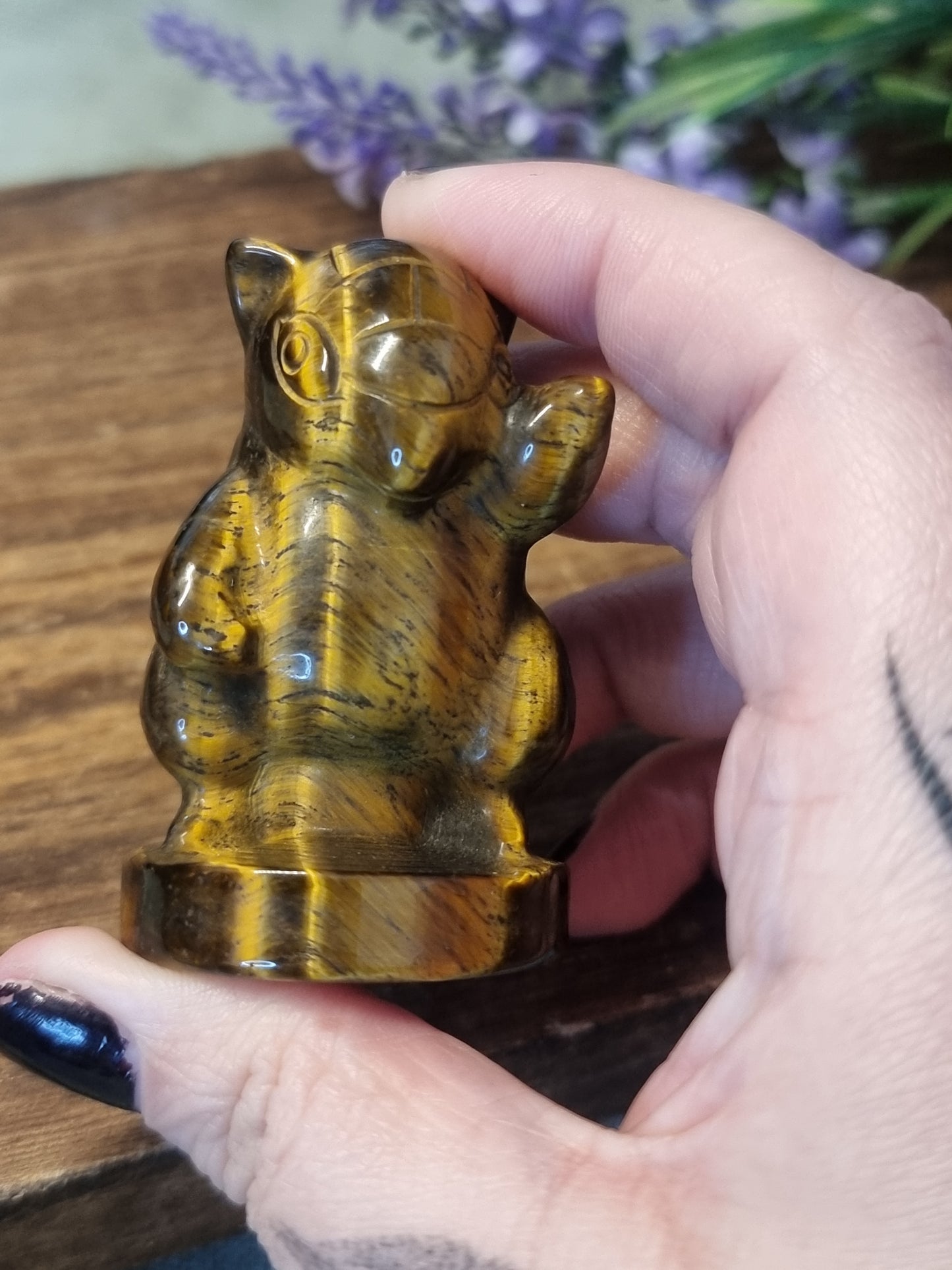 Tigers eye sandshrew pokemon