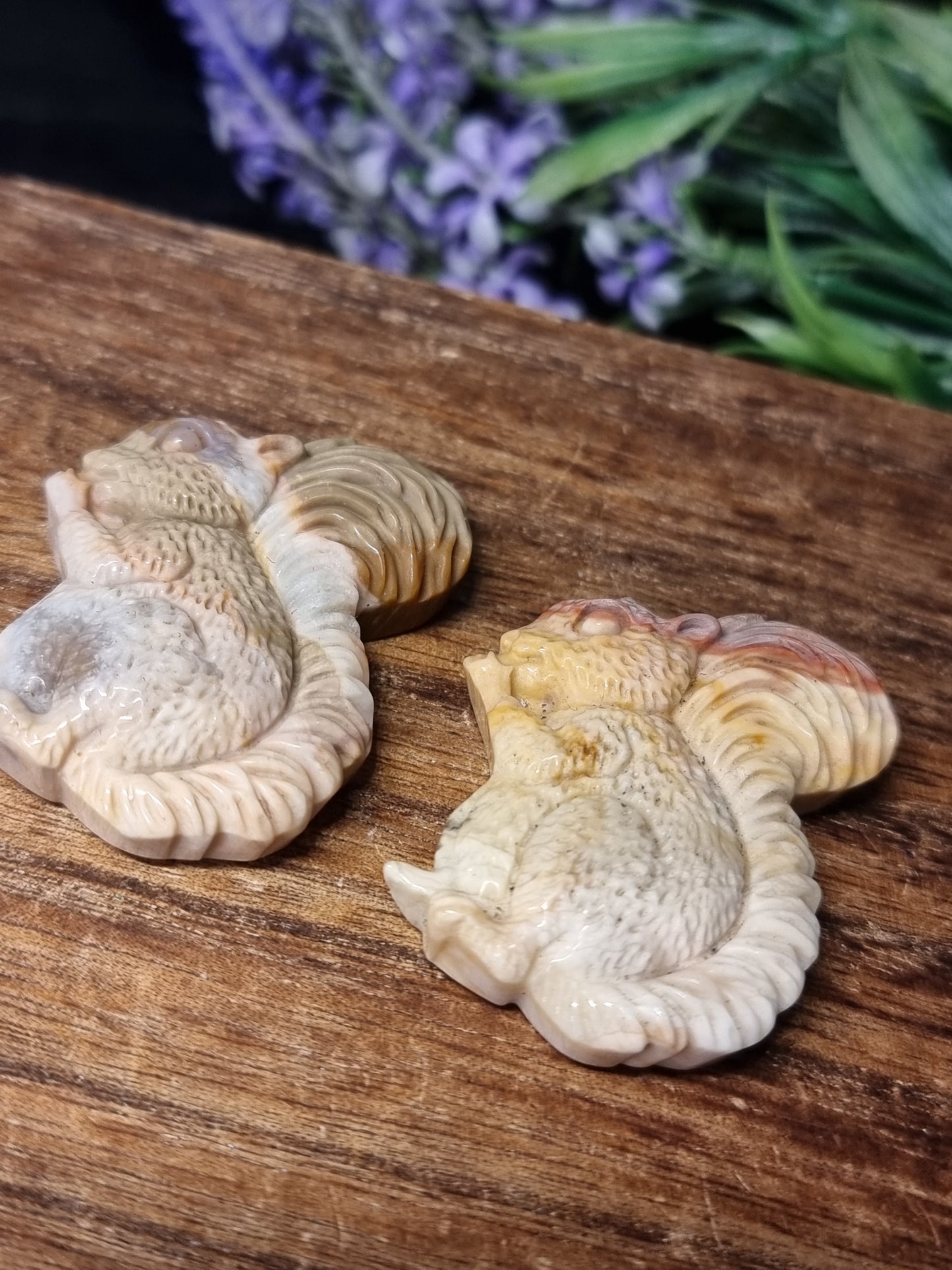 Wild horse picture jasper squirrels