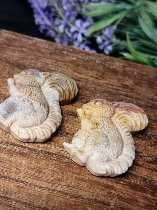 Wild horse picture jasper squirrels