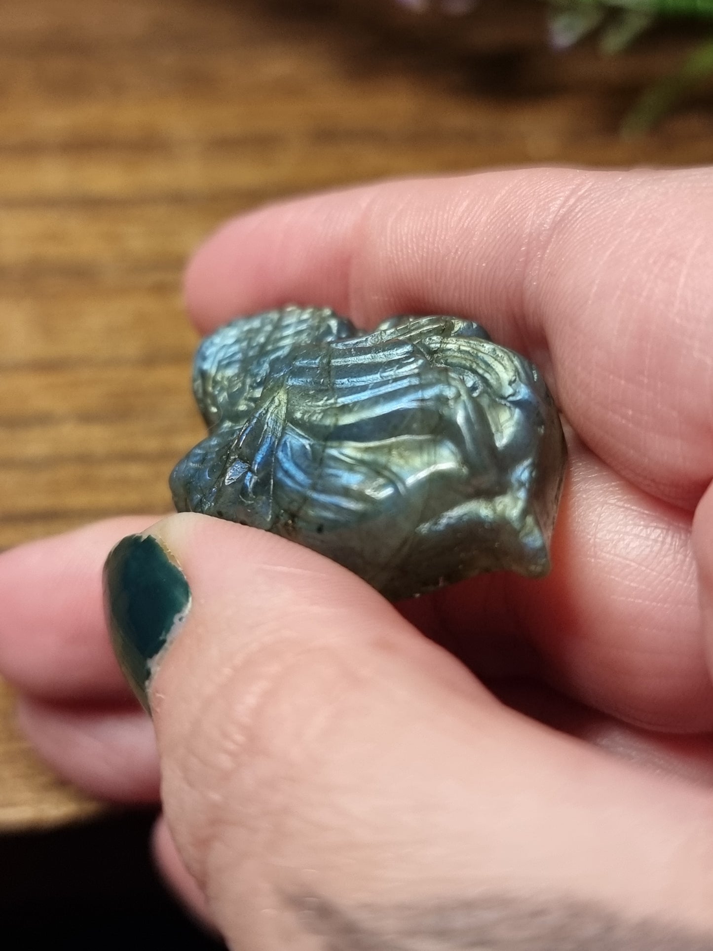 Labradorite goldfish
