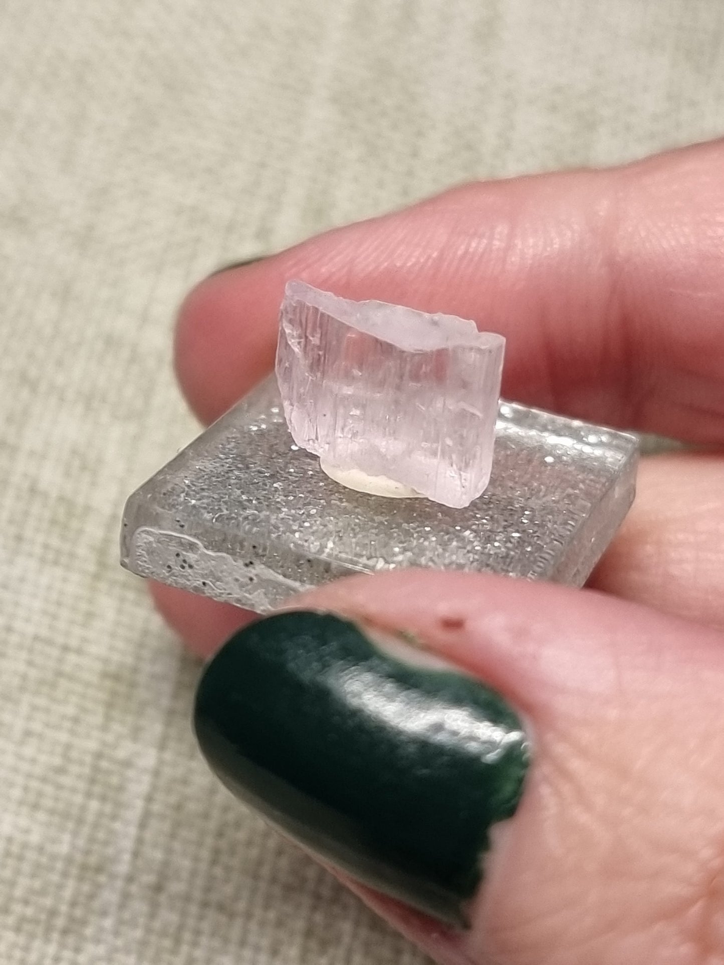 Gem kunzite specimens