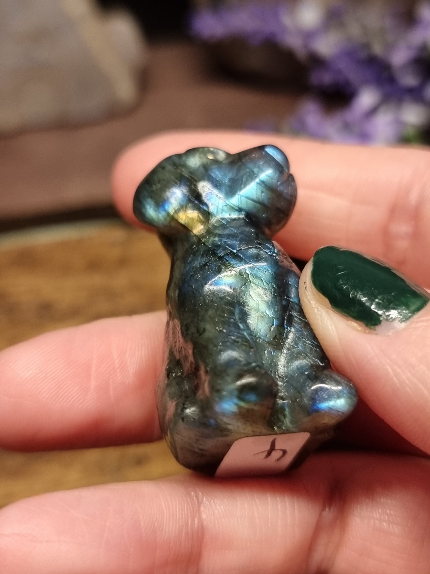 Dog carvings