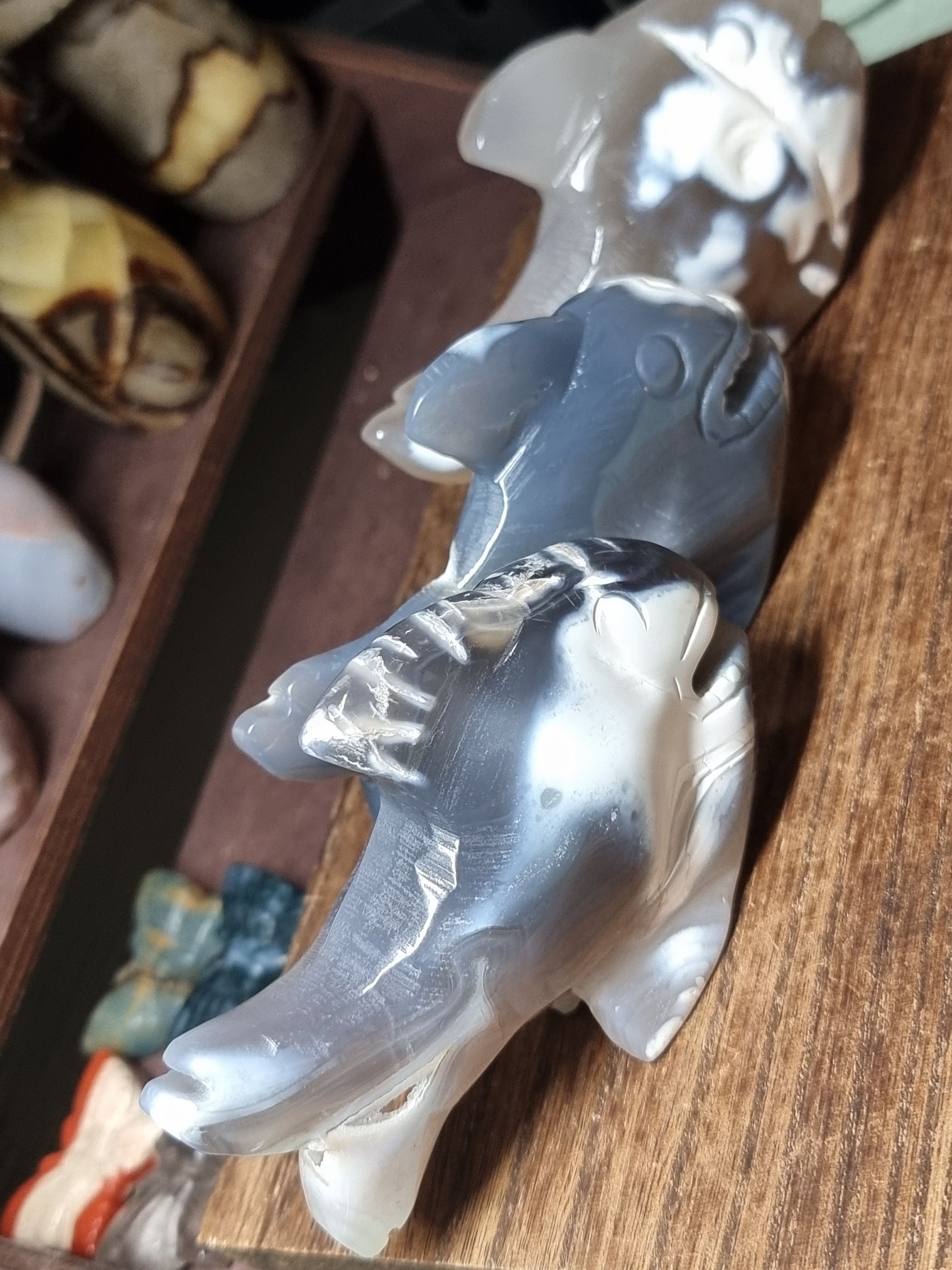 Orca agate sharks