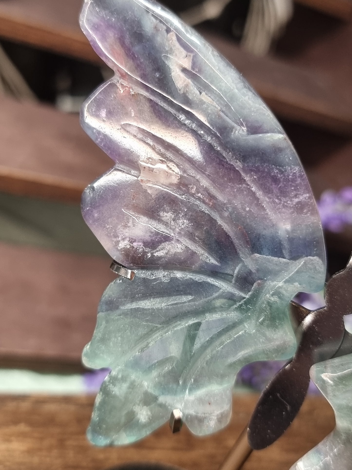 Fluorite butterfly wings