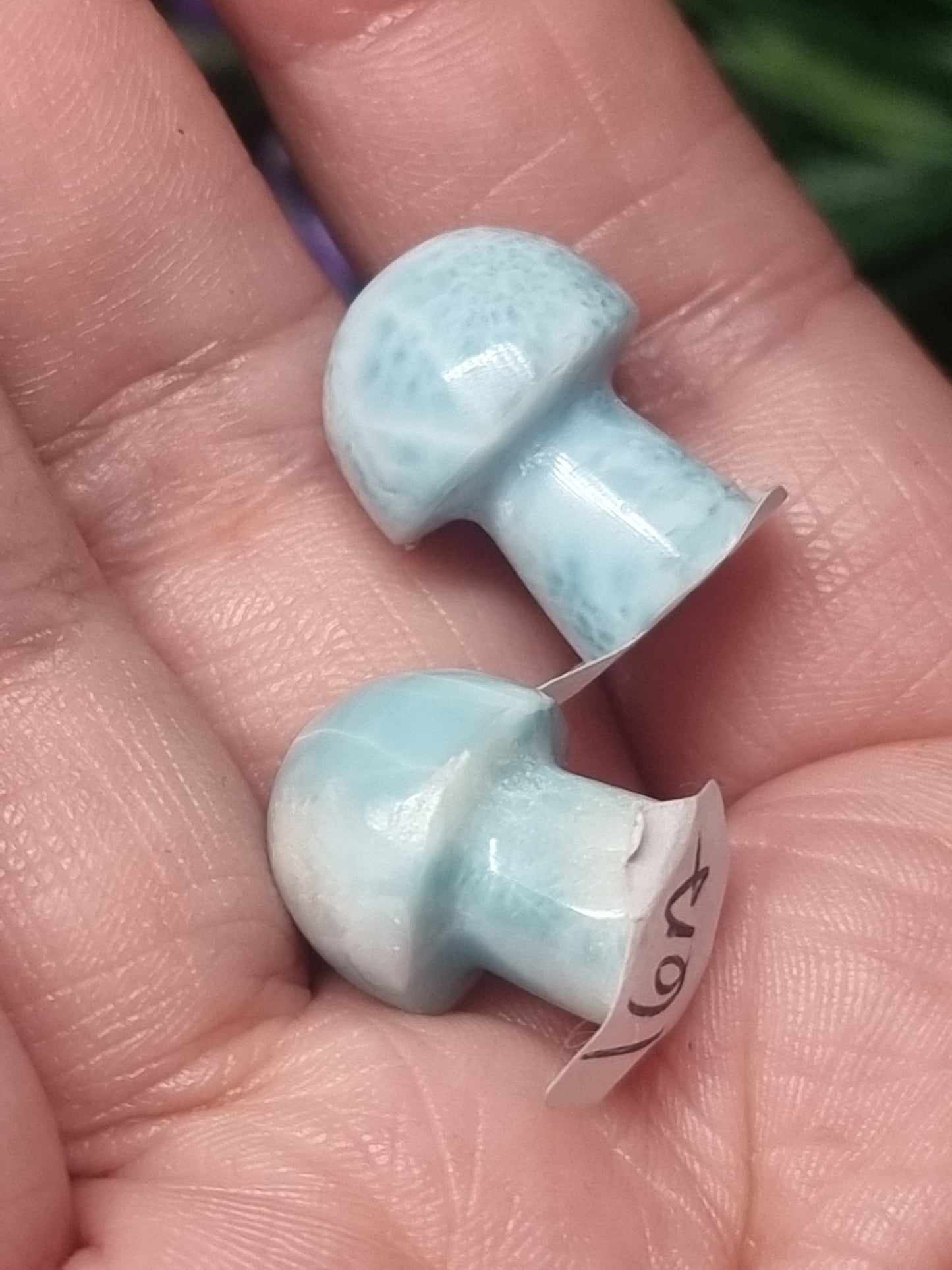Larimar mini mushrooms