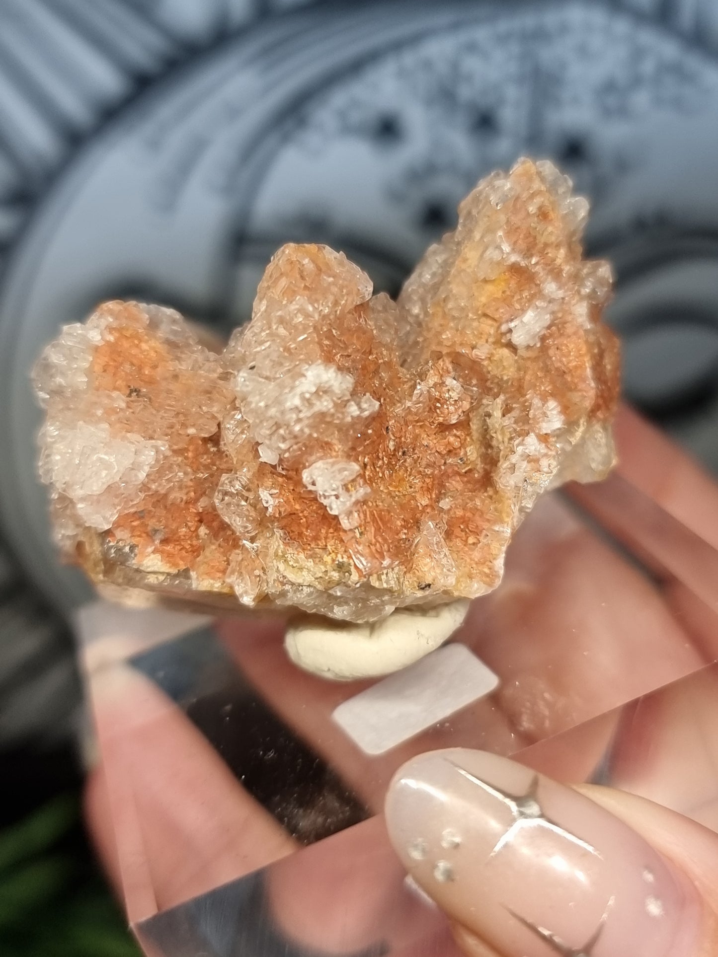 Selenite coated pink dogtooth calcite