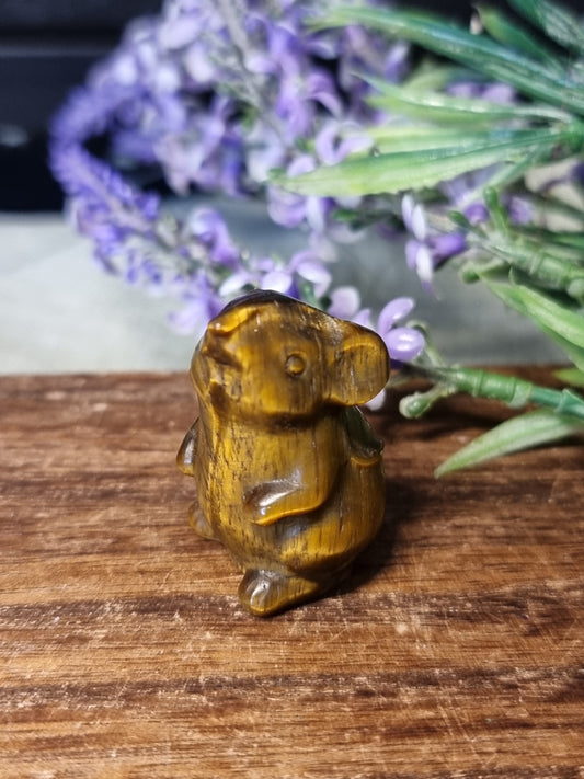 Tigers eye mouse