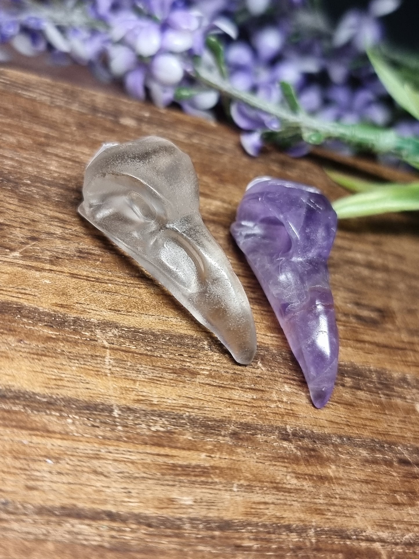 Bird skull carvings