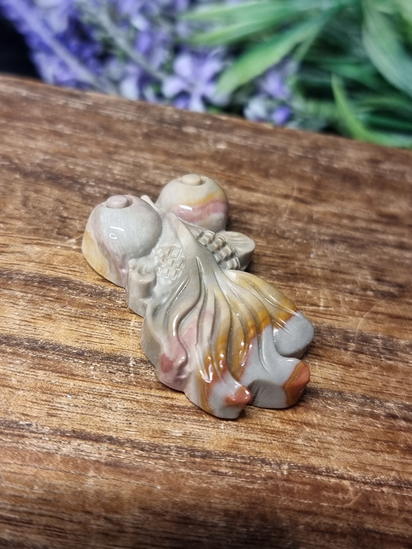 Wild horse picture jasper fish