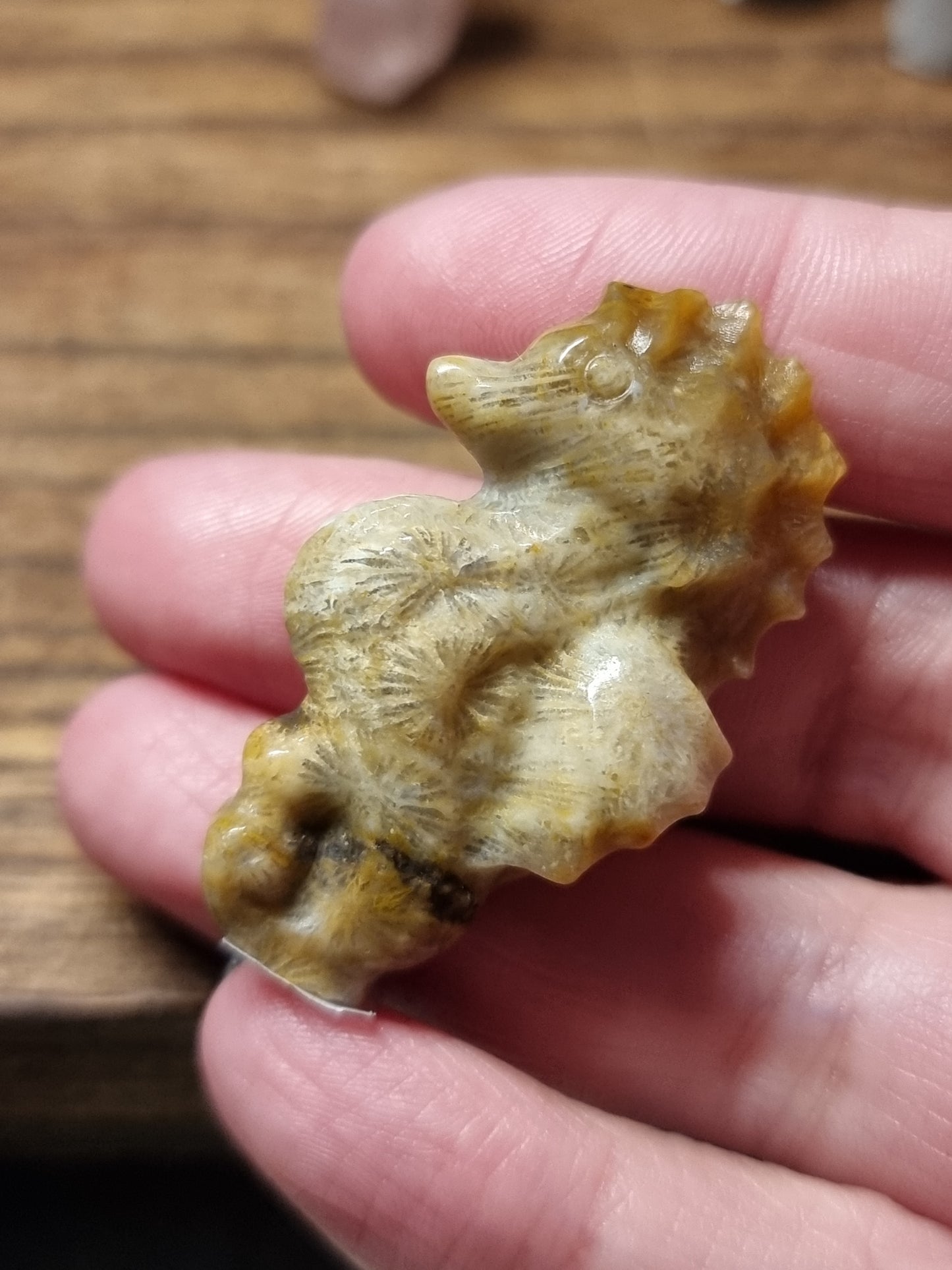 Seahorse carvings