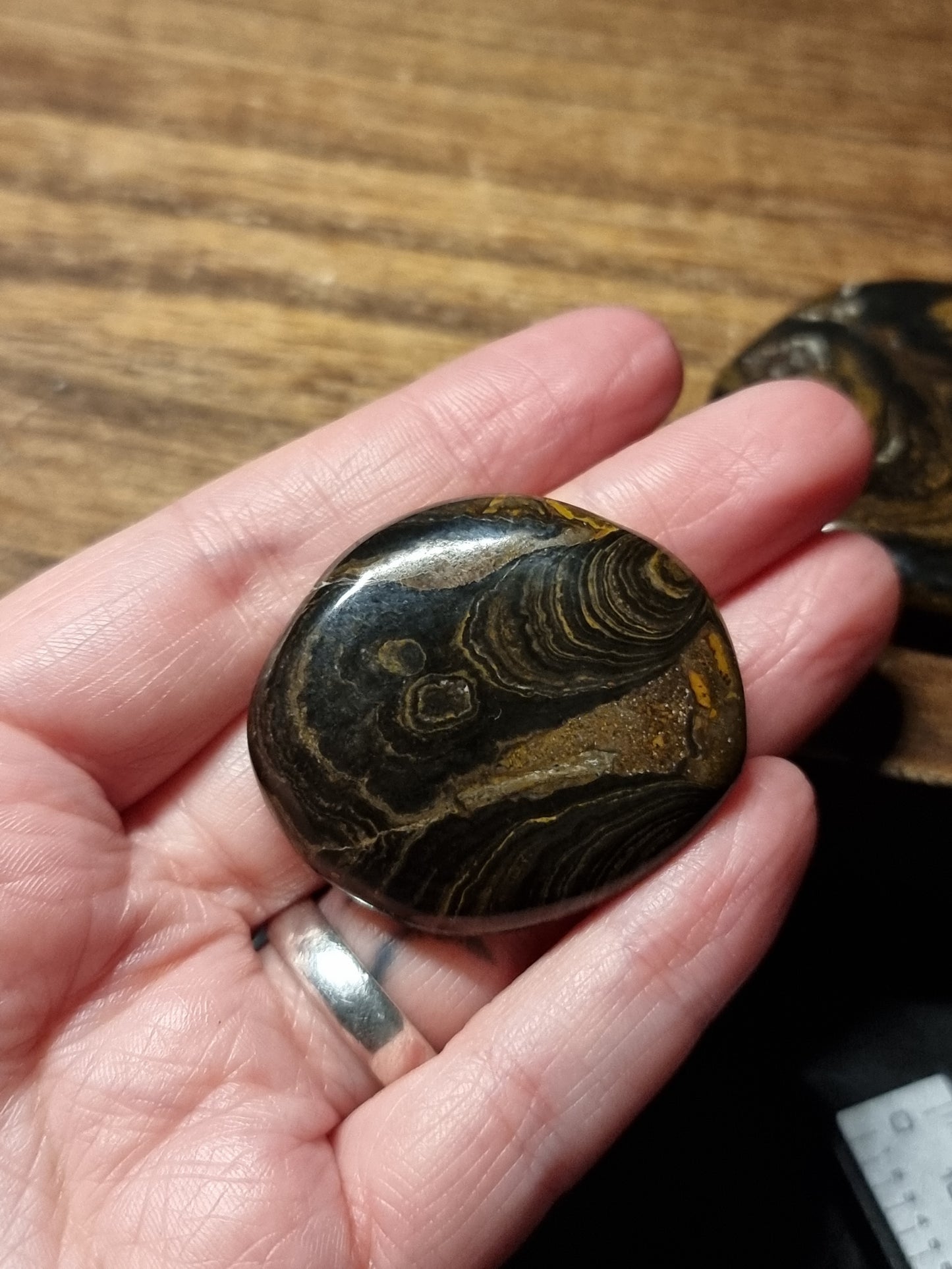 Stromatolite flatstones