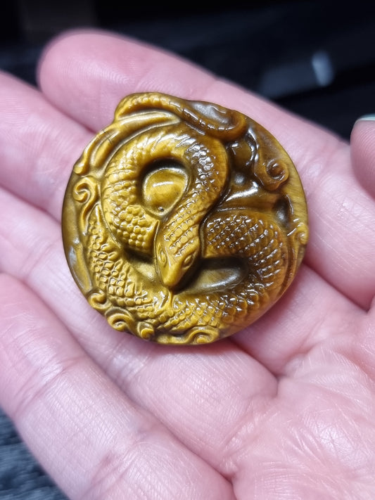 High quality tigers eye snake