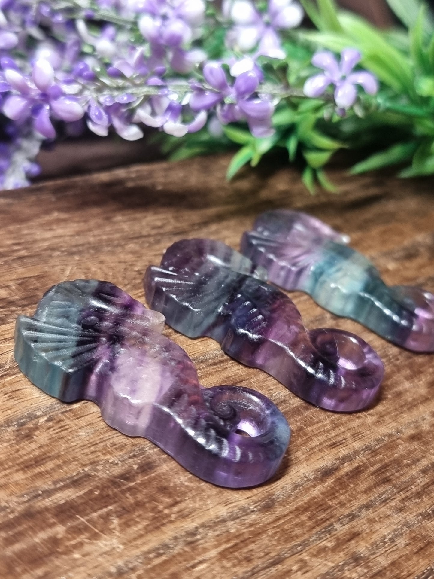 Fluorite seahorses