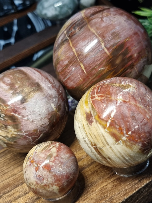 Petrified wood spheres