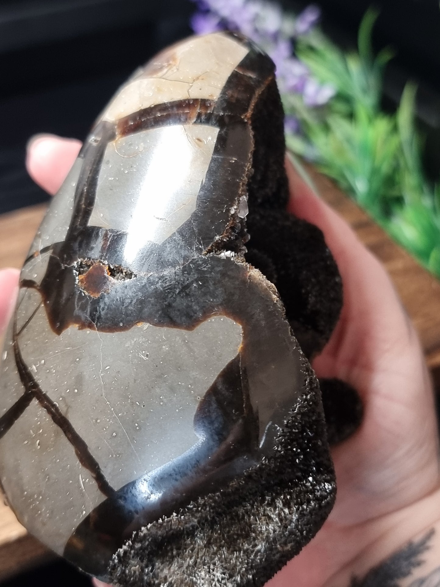 Druzy septarian freeform C