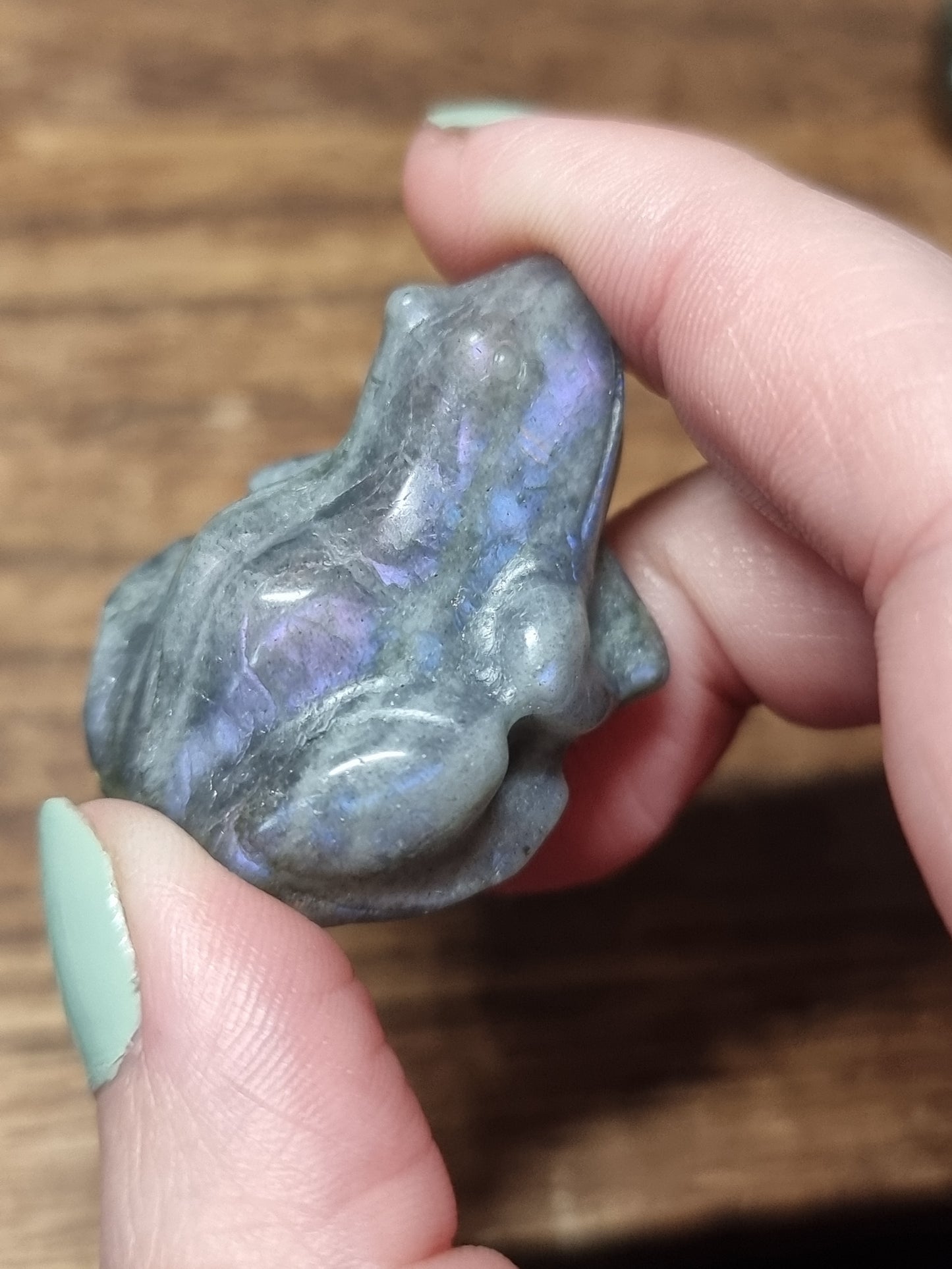 Labradorite frogs