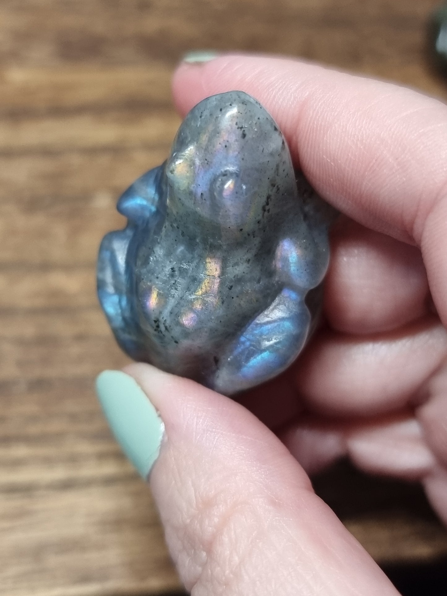 Labradorite frogs